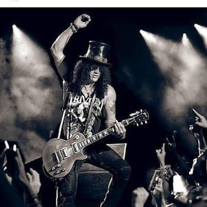 Meet your Posher, Sabino